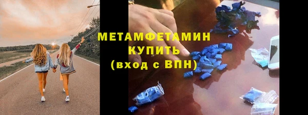 сатива Струнино
