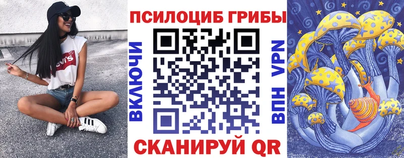 блэк спрут как войти  купить закладку  Славянск-на-Кубани  Псилоцибиновые грибы ЛСД 