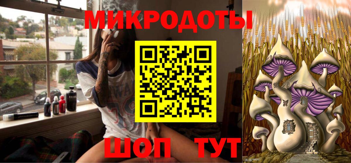 Славянск-на-Кубани  Псилоцибиновые грибы мухоморы  Вход с VPN  Псилоцибиновые грибы прущие грибы 