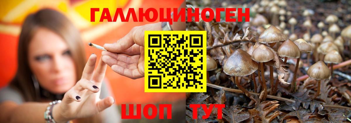 Псилоцибиновые грибы ЛСД Славянск-на-Кубани